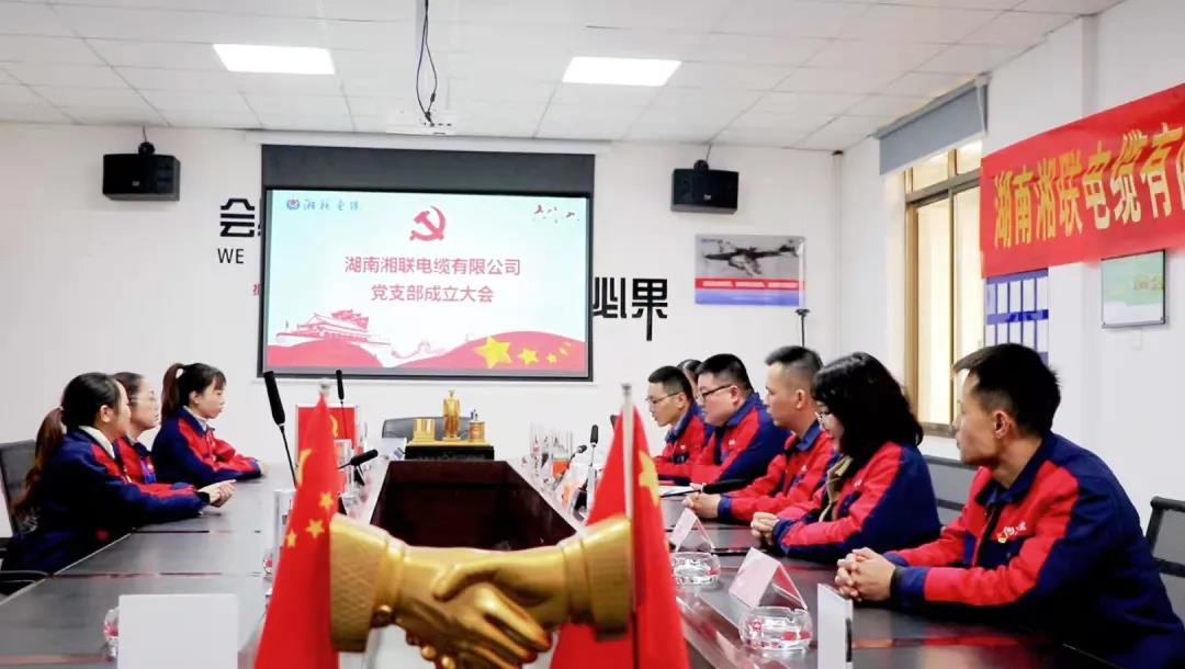 新征程 | 熱烈祝賀湖南湘聯電纜有限公司黨支部正式成立！